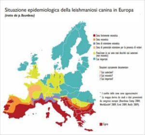 Mappa diffusione Leishmania Europa 